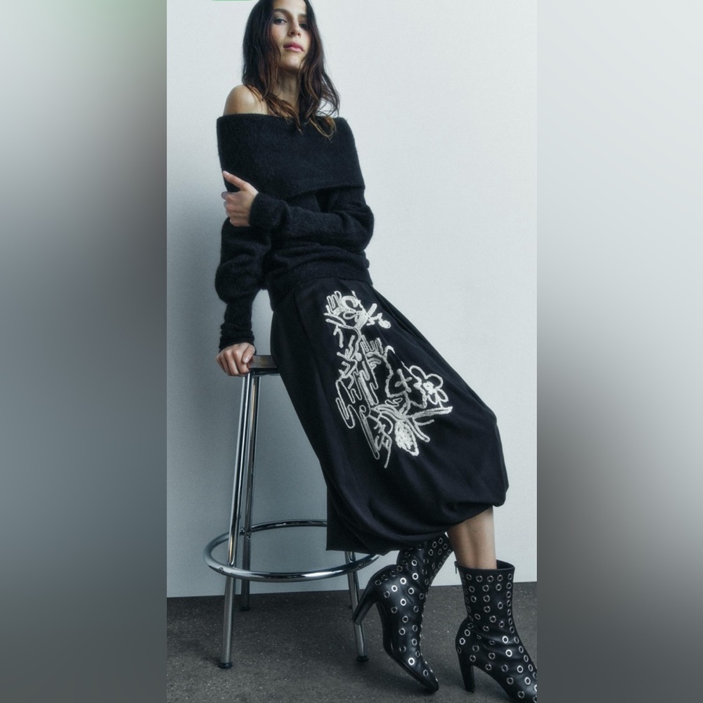 Zara embroidered skirt